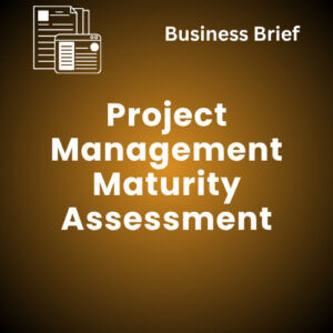 Project Management Maturity Assessment (PDF)